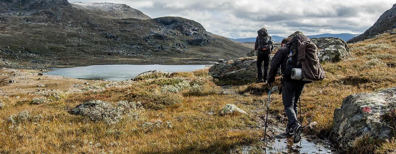 Bienfaits de la randonnée en montagne pour la santé cardiovasculaire